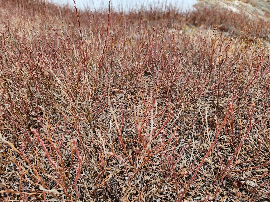 2 Whispering Berries Hill Liberty ME 04949