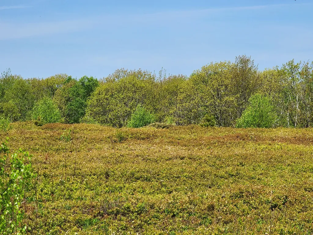 2 Whispering Berries Hill Liberty ME 04949