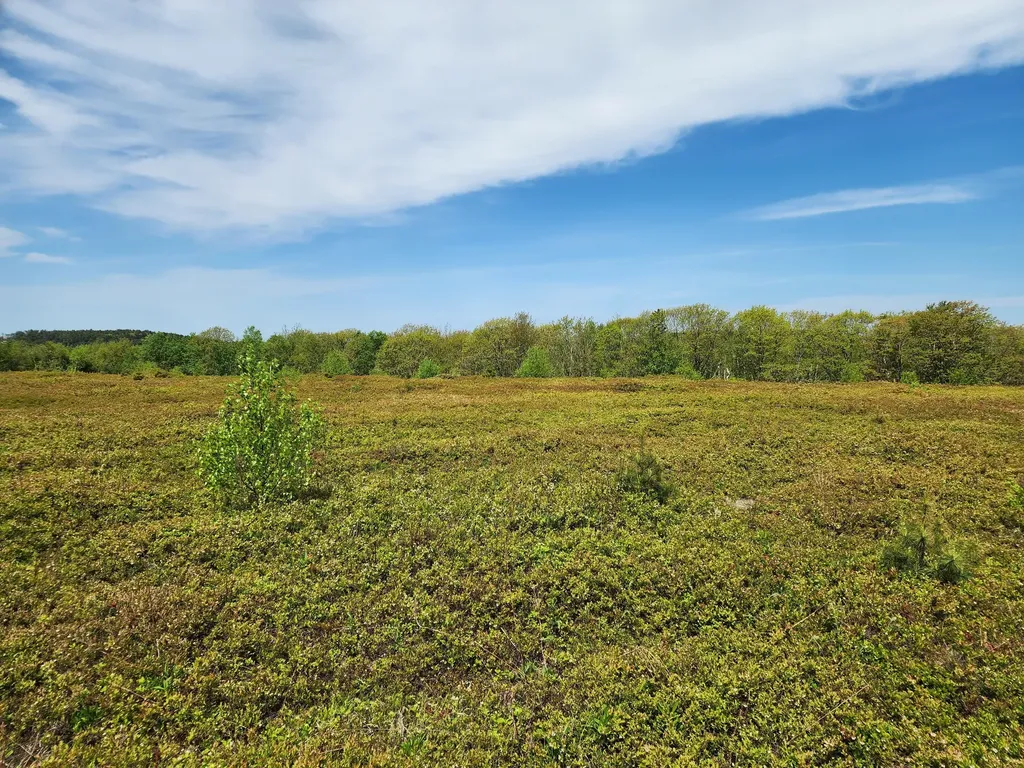 2 Whispering Berries Hill Liberty ME 04949