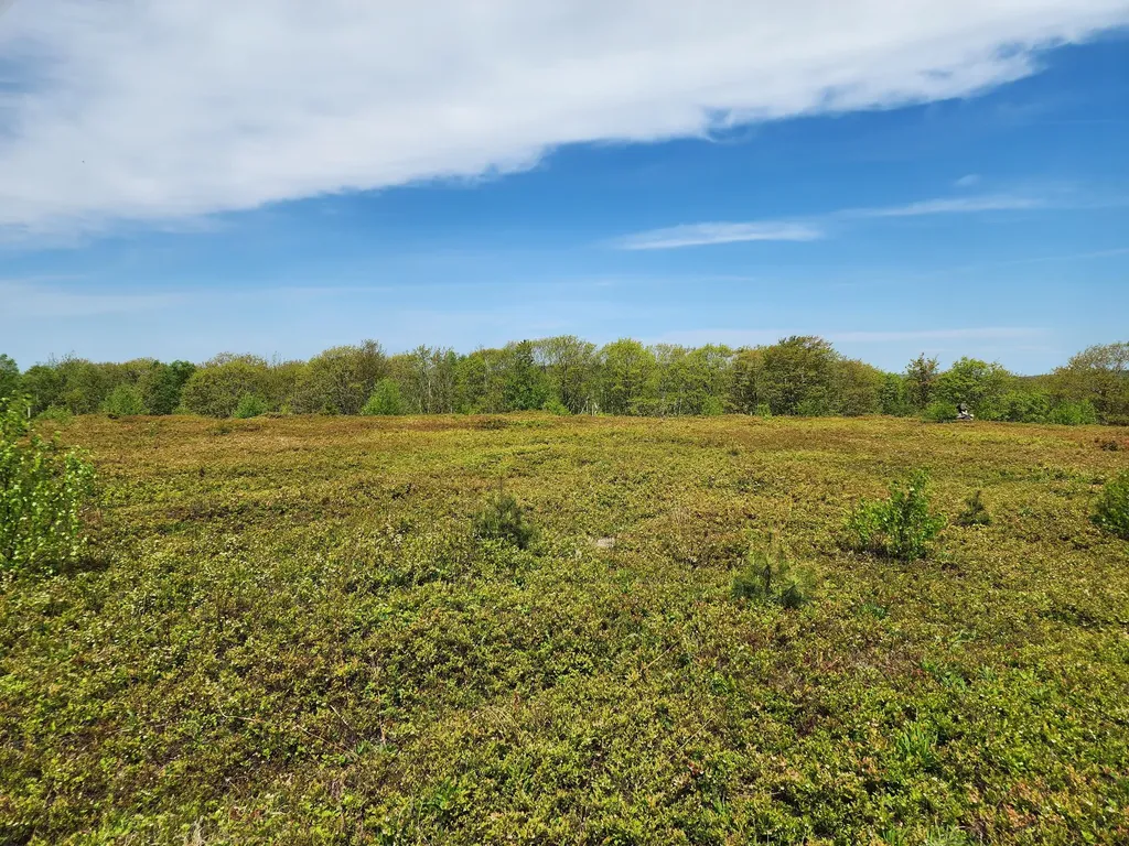 2 Whispering Berries Hill Liberty ME 04949