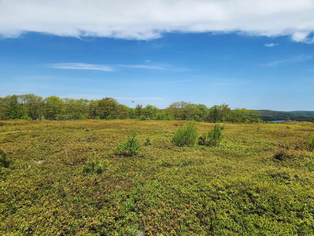 2 Whispering Berries Hill Liberty ME 04949
