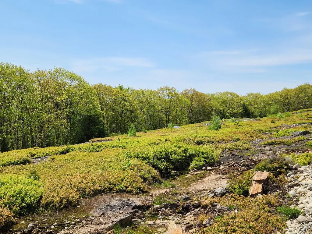 2 Whispering Berries Hill Liberty ME 04949