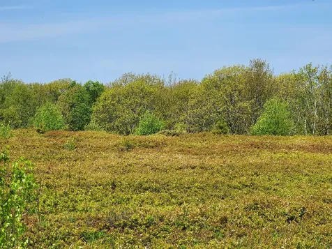 2 Whispering Berries Hill Liberty ME 04949