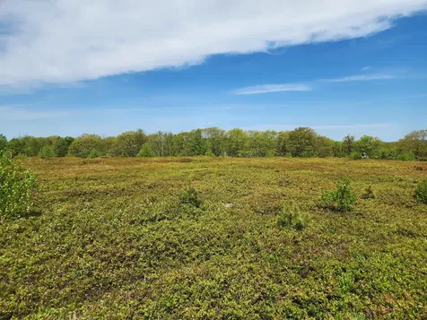 2 Whispering Berries Hill Liberty ME 04949