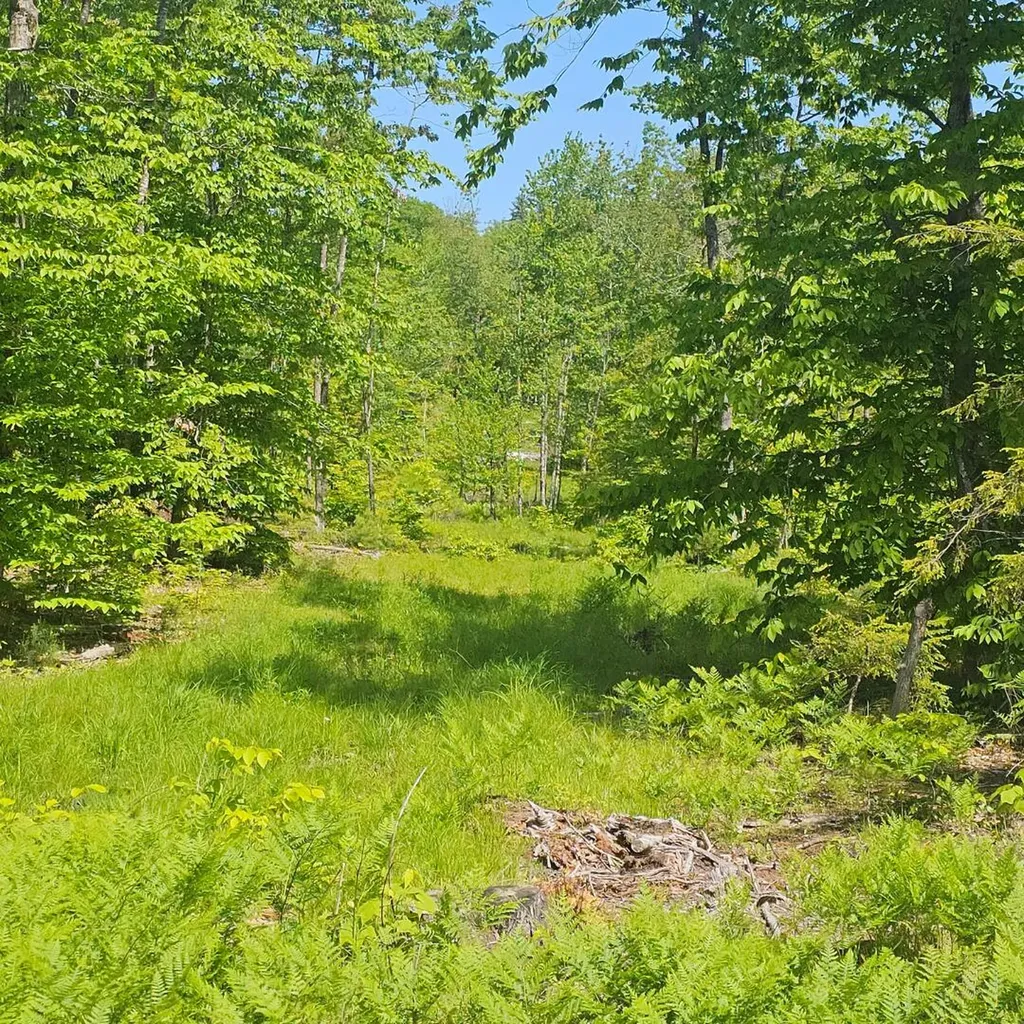 18A Isaac Stevens Road Bridgton ME 04009