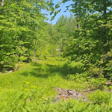 18A Isaac Stevens Road Bridgton ME 04009