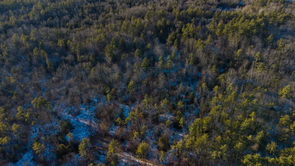 Tbd Saco Road Standish ME 04084