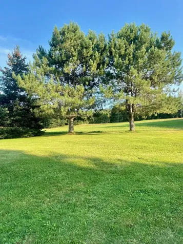 535 Frenchville Road Fort Kent ME 04743