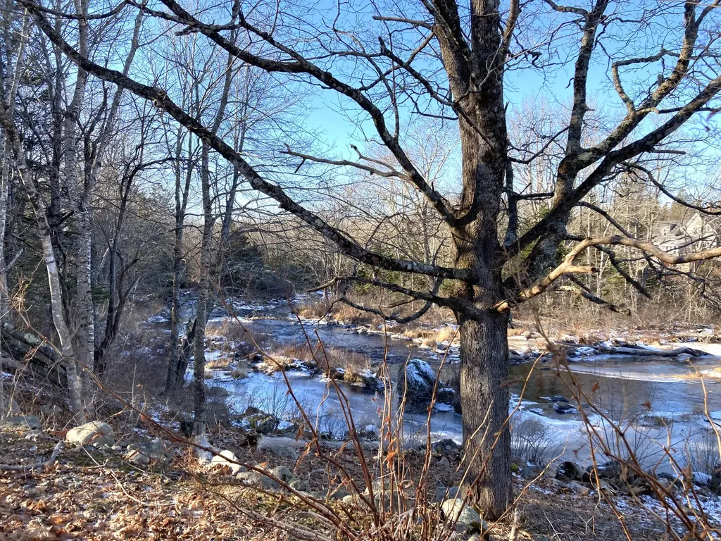 3 Rogers Point Steuben ME 04680