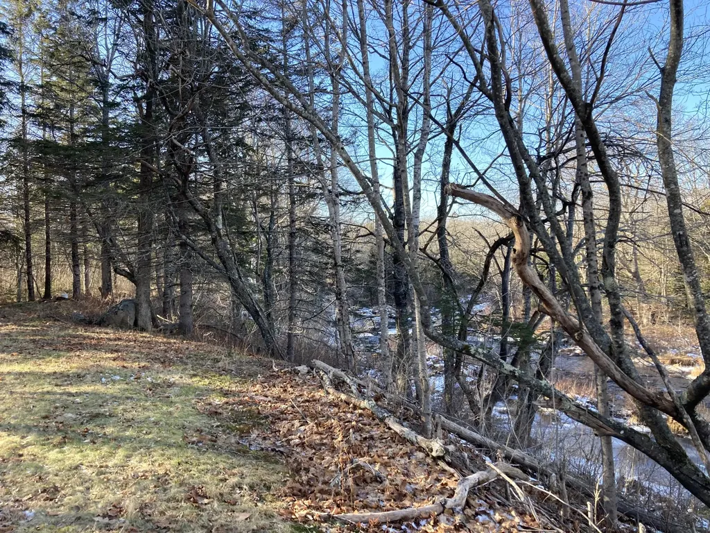 3 Rogers Point Steuben ME 04680