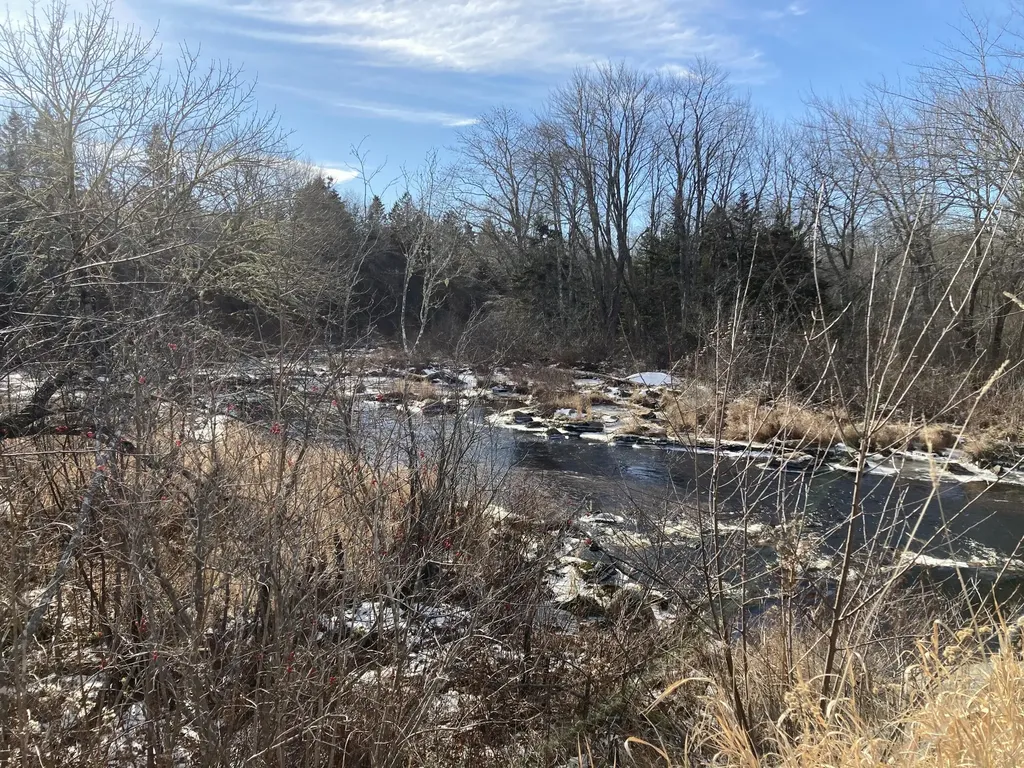 3 Rogers Point Steuben ME 04680