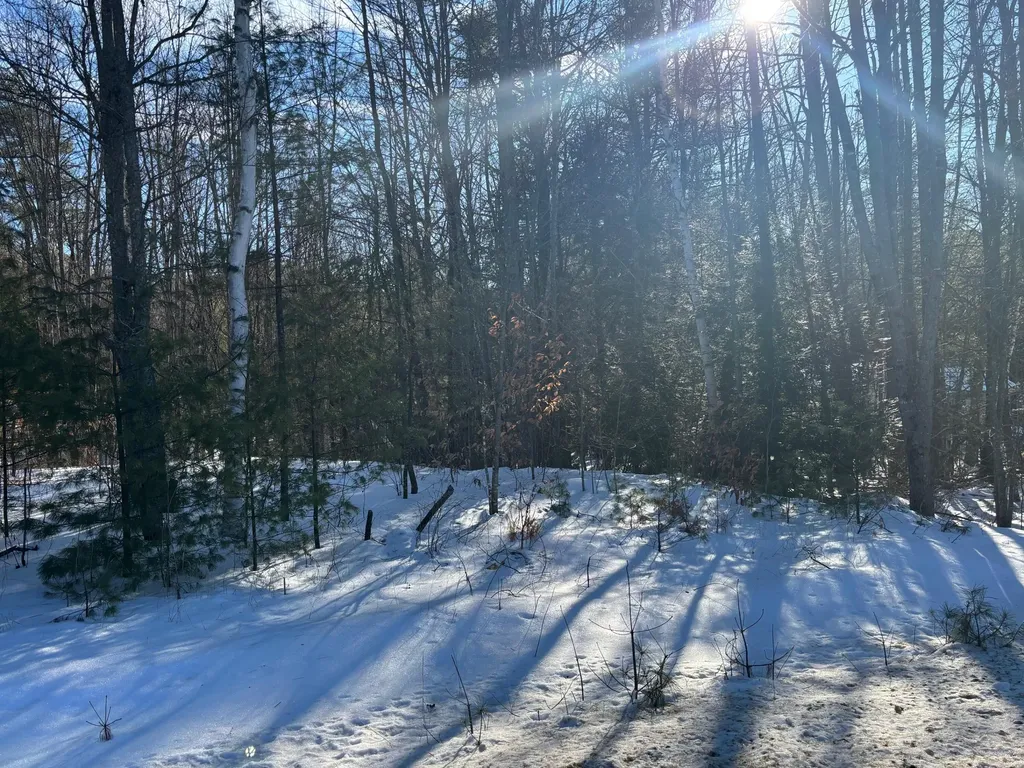 Lot 15-023 Intervale Road Bethel ME 04217