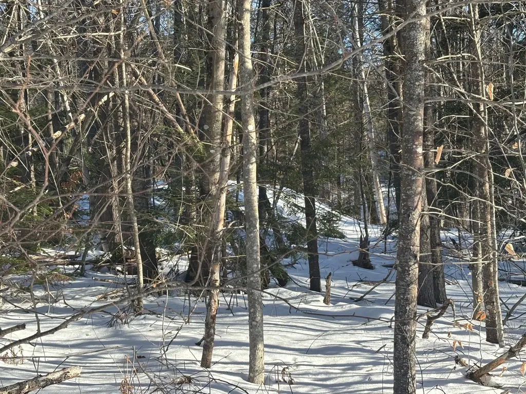 Lot 15-023 Intervale Road Bethel ME 04217
