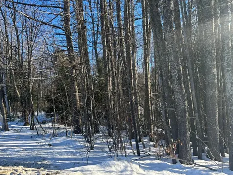 Lot 15-023 Intervale Road Bethel ME 04217