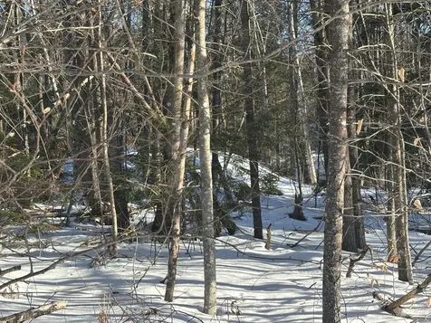 Lot 15-023 Intervale Road Bethel ME 04217