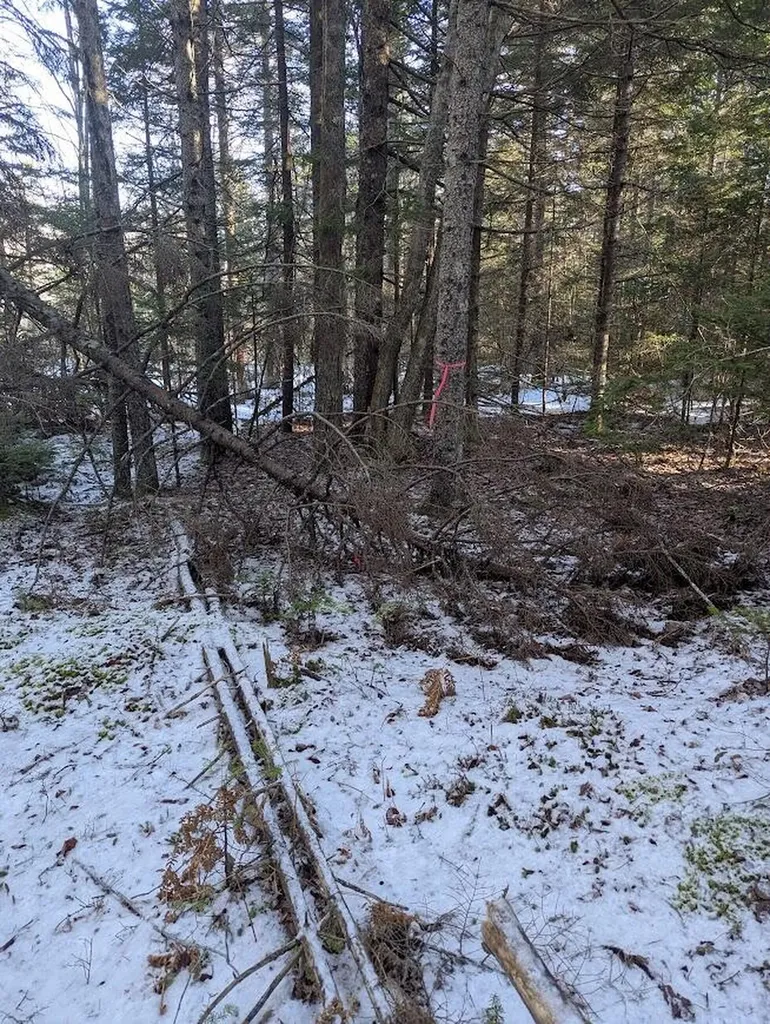 19 Tamarack Lane Cushing ME 04563