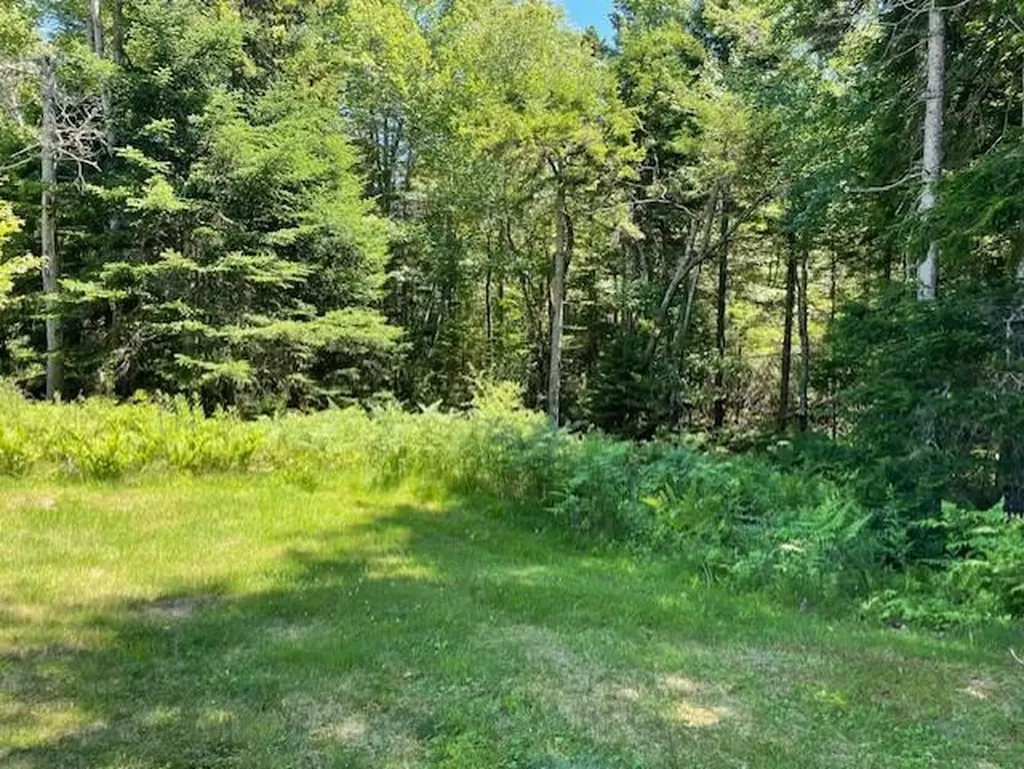19 Tamarack Lane Cushing ME 04563