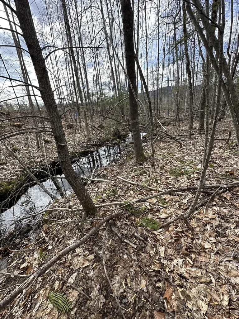 Lot 137.25 French Hill Road Albany Twp ME 04217