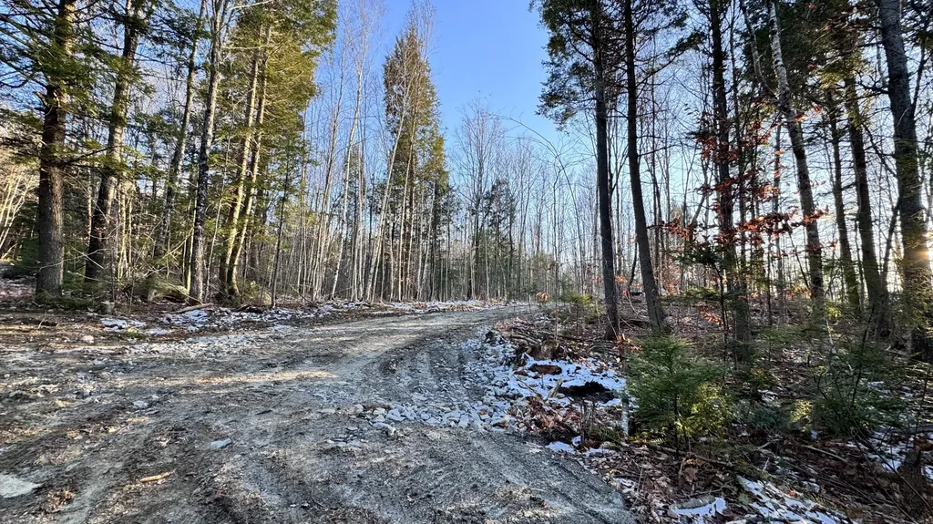 Lot 137.25 French Hill Road Albany Twp ME 04217