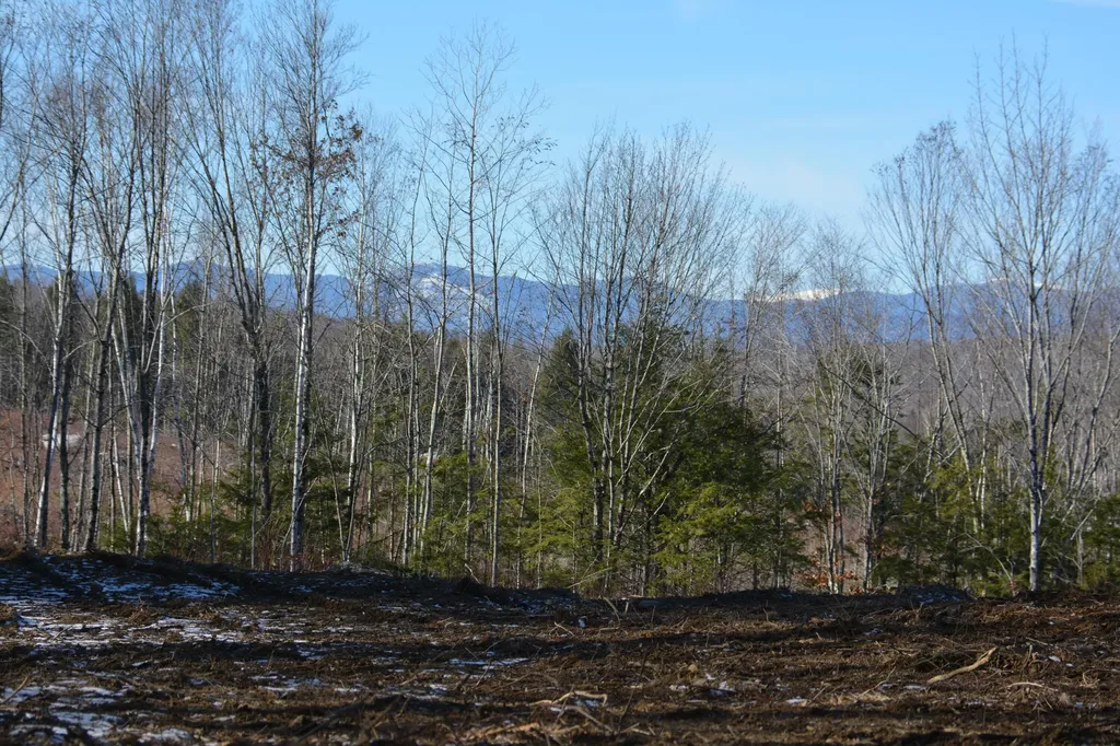 Lot 137.25 French Hill Road Albany Twp ME 04217