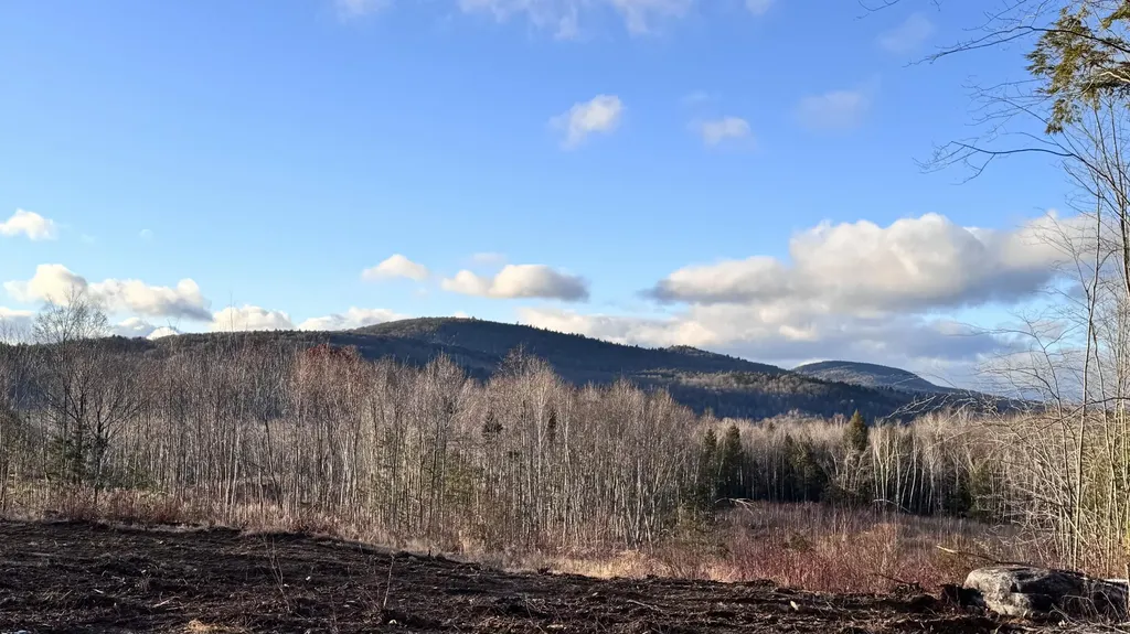 Lot 137.25 French Hill Road Albany Twp ME 04217
