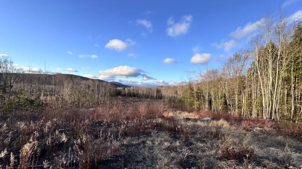 Lot 137.25 French Hill Road Albany Twp ME 04217