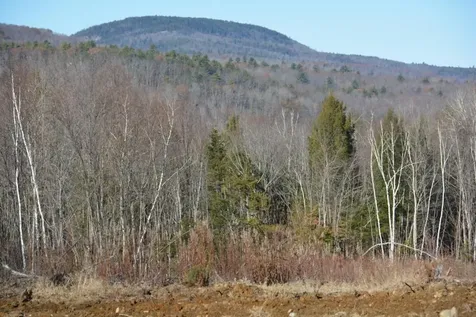 Lot 137.25 French Hill Road Albany Twp ME 04217