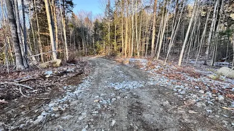 Lot 137.25 French Hill Road Albany Twp ME 04217