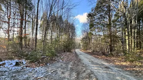 Lot 137.25 French Hill Road Albany Twp ME 04217