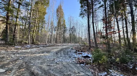 Lot 137.25 French Hill Road Albany Twp ME 04217