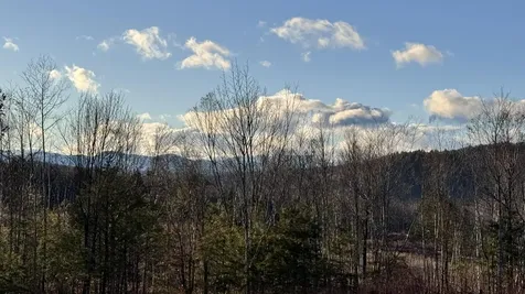 Lot 137.25 French Hill Road Albany Twp ME 04217