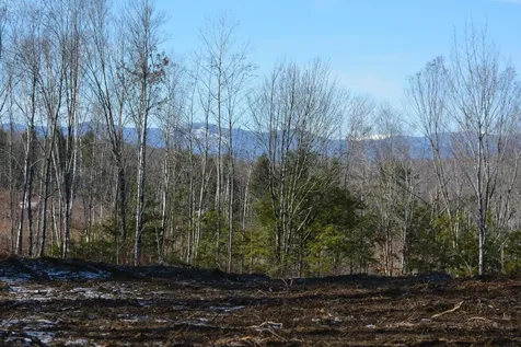 Lot 137.25 French Hill Road Albany Twp ME 04217