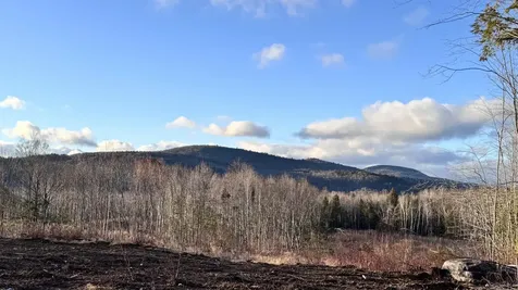 Lot 137.25 French Hill Road Albany Twp ME 04217
