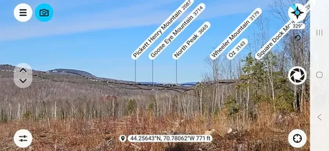 Lot 137.25 French Hill Road Albany Twp ME 04217