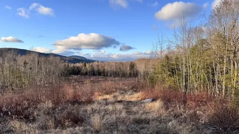 Lot 137.25 French Hill Road Albany Twp ME 04217