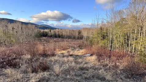 Lot 137.25 French Hill Road Albany Twp ME 04217