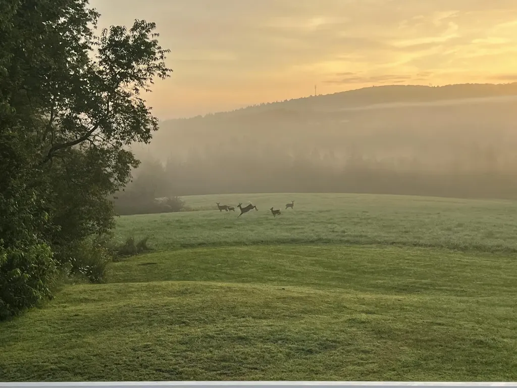 12 Mount View Lane Bucksport ME 04416