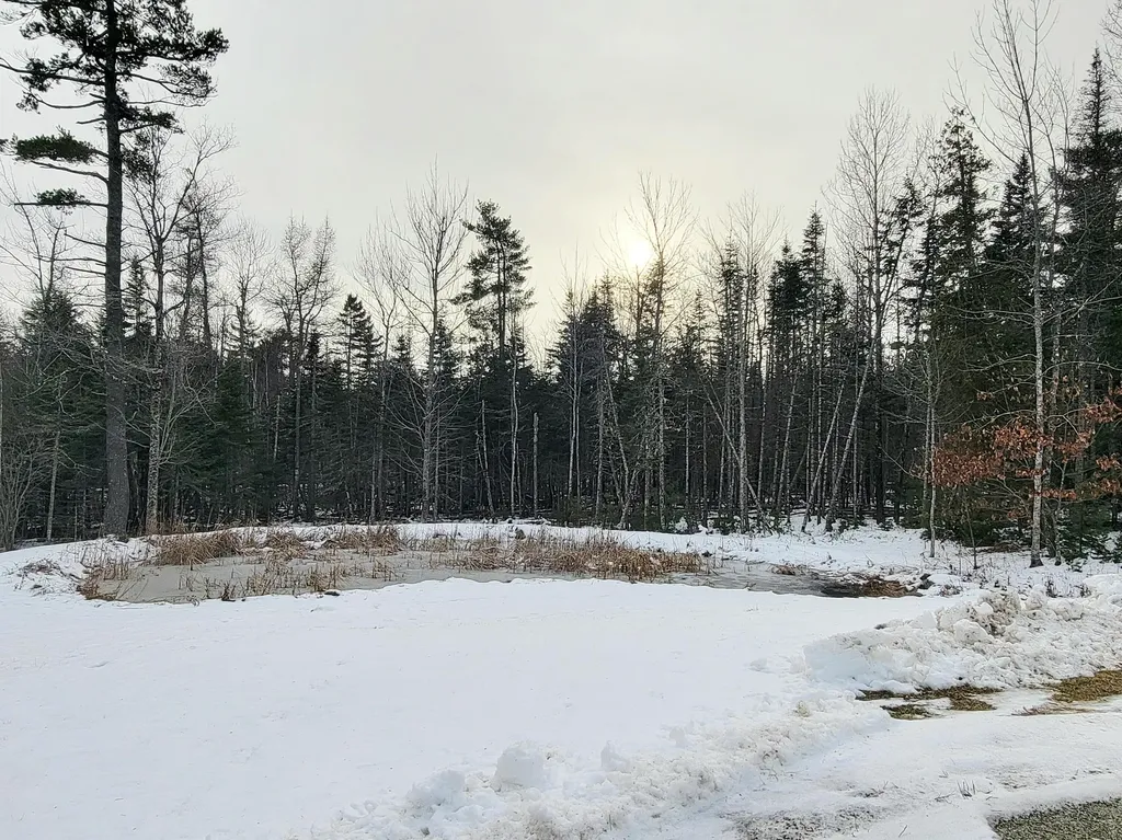 254 Mariaville Road Ellsworth ME 04605