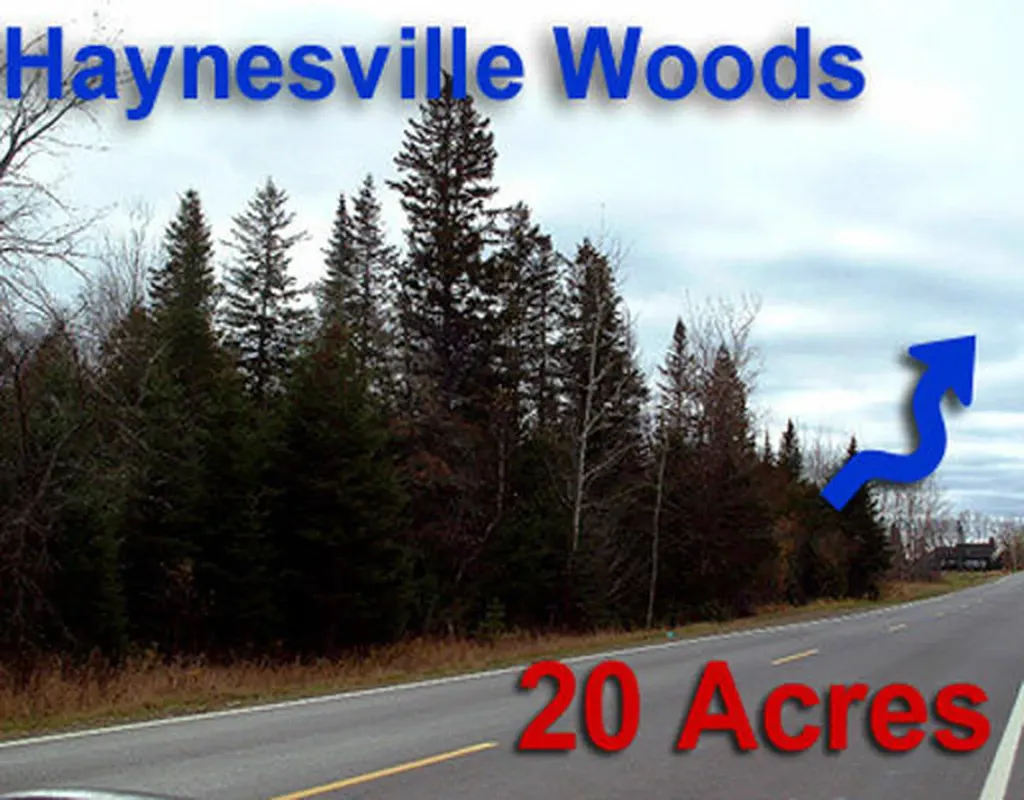 Lot 2-3 Us Route 2a Road Linneus ME 04730