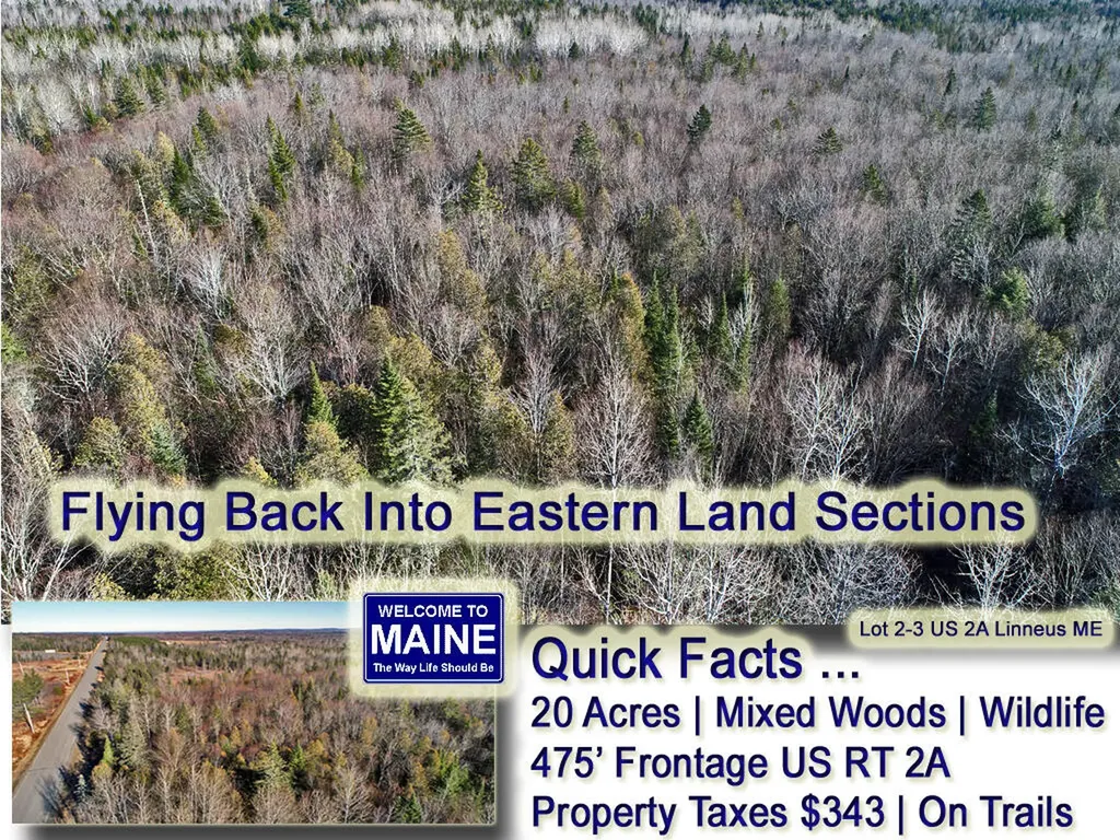 Lot 2-3 Us Route 2a Road Linneus ME 04730
