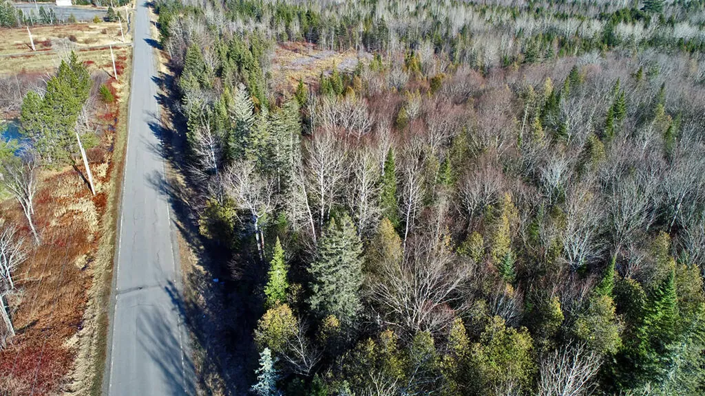 Lot 2-3 Us Route 2a Road Linneus ME 04730