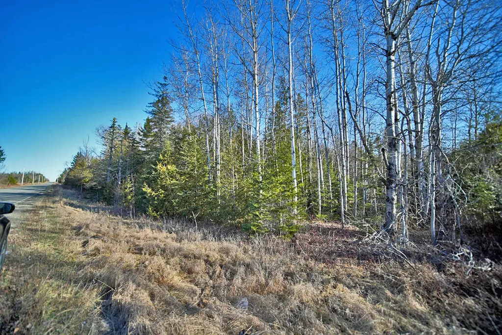 Lot 2-3 Us Route 2a Road Linneus ME 04730