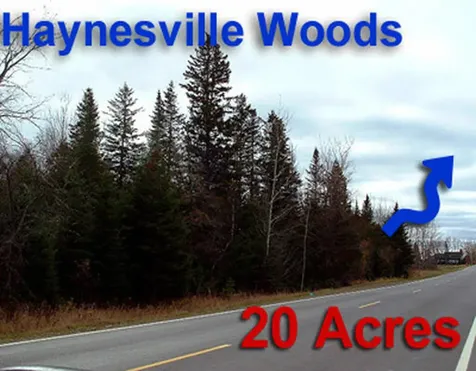 Lot 2-3 Us Route 2a Road Linneus ME 04730