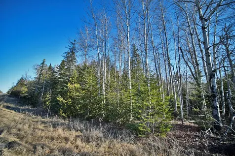 Lot 2-3 Us Route 2a Road Linneus ME 04730