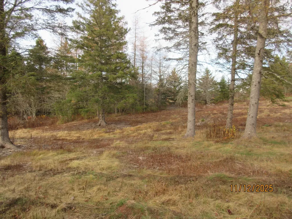 Lot 2 Smalls Point Road Machiasport ME 04655