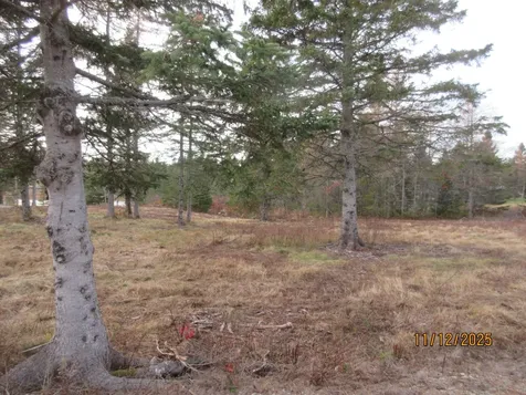 Lot 2 Smalls Point Road Machiasport ME 04655