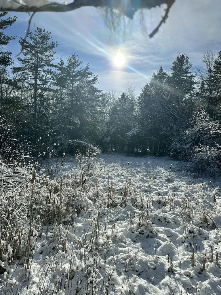 278 Mariaville Road Ellsworth ME 04605
