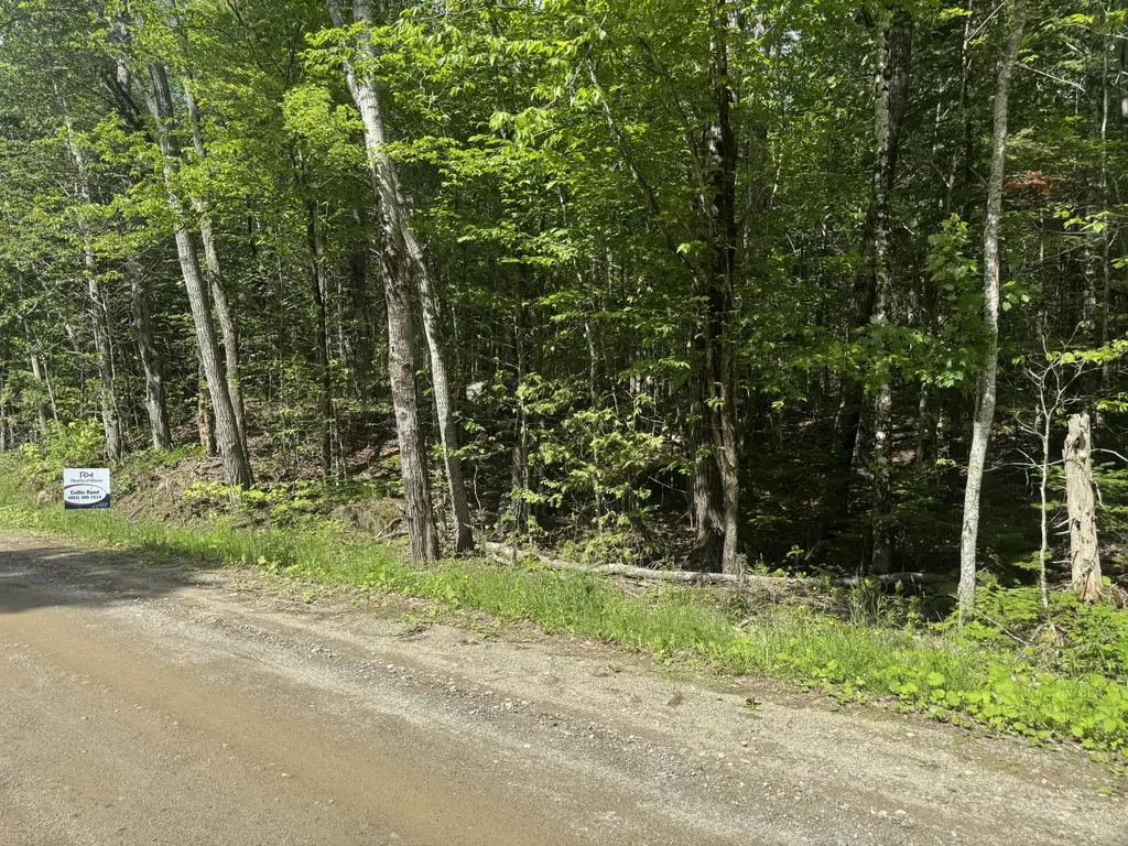 Lot 7 Curtis Farm Road Lincoln ME 04457