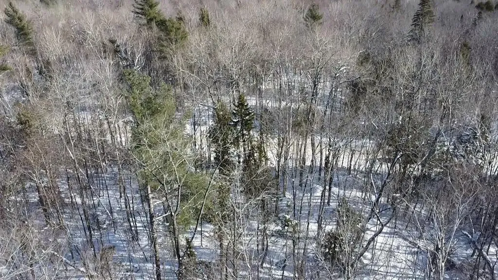 Lot 7 Curtis Farm Road Lincoln ME 04457