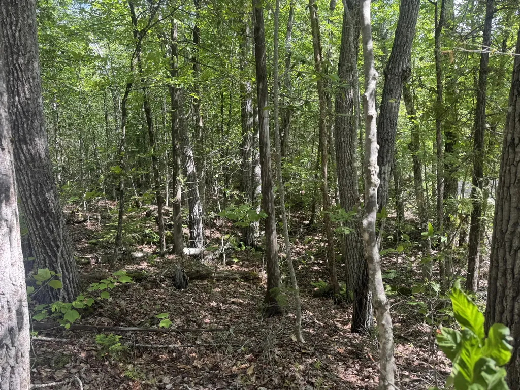 Lot 7 Curtis Farm Road Lincoln ME 04457